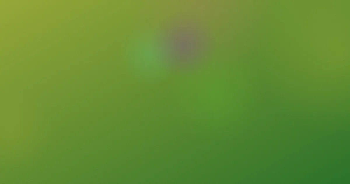 lyn值得吗：购买前必看